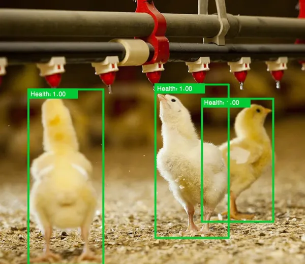 Smart poultry farm