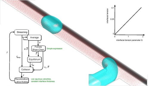 LBM two-phase interface in a microchannel