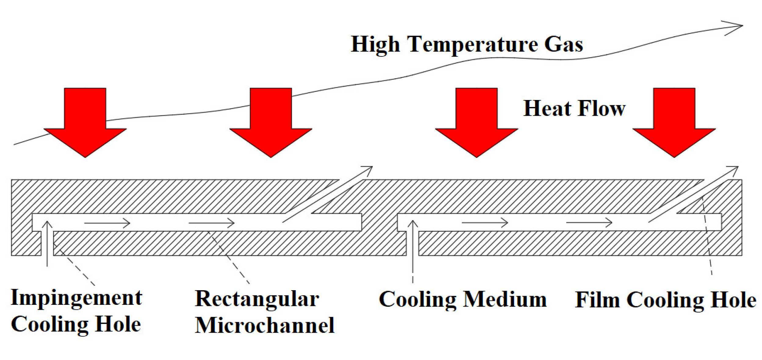 Effect of forces and aspect ratio in elliptical microchannels